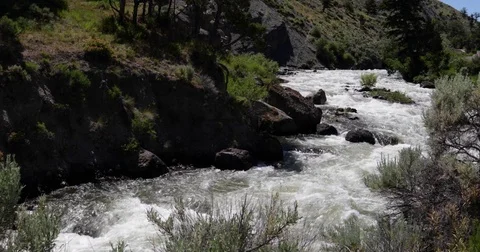 River flowing through foliage and over rocks 4k 24fps Stock Footage 77169275