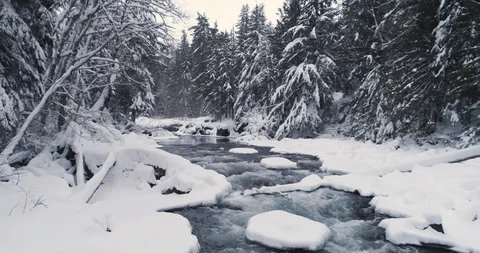 River Flowing Through Forest And Snow Falling 스톡 동영상 124233984