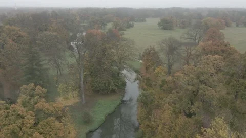 River flowing through a forest and a field Stock Footage 232485227