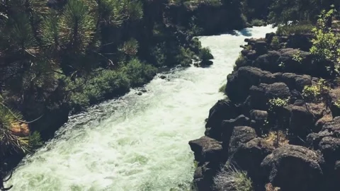 River Flowing Through Forest Animation Stock Footage 310429833