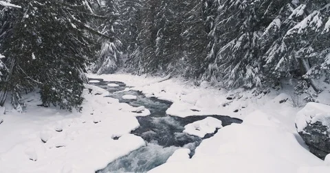 River Flowing Through A Forest During Winter 스톡 동영상 124189494