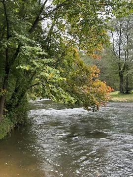 River Flowing Through Forest with Early Autumn Leaves in Vilnus. Stock Photos