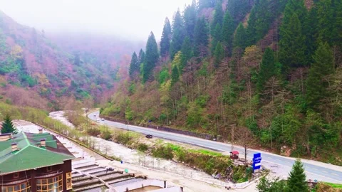 A river flowing through a forest filled with trees Stock Footage 272793258