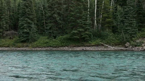 River flowing through forest Stock Footage 842727