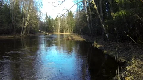 River flowing through the forest Stock Footage 48968886