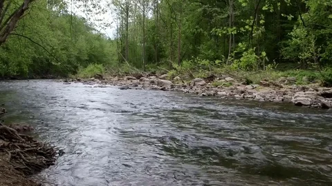 River flowing through forest Stock Footage 81755861
