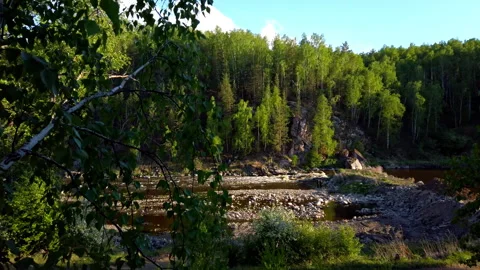 River Flowing Through Forest Stock Footage 275202951
