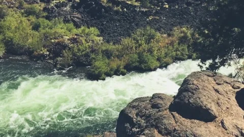 River Flowing Through Forest Heart Stock Footage 310429834