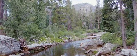 River flowing through the forest at Lake Tahoe Stock Footage 92302759