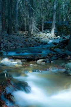 River flowing through a forest Stock Photos