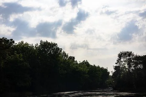A river flowing through forest Stock Photos