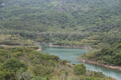A river is flowing through a forest Stock Photos
