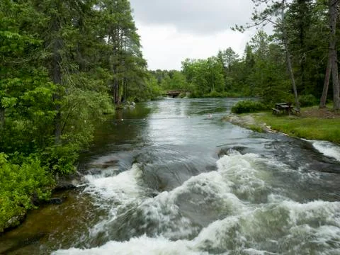 River flowing through a forest, Rushing River Provincial Park, Ontario, Canad Stock Photos