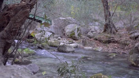 River flowing through the forest slider Video stock 109483425