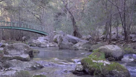 River flowing through the forest slider Stock Footage 109483426