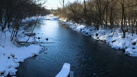 A River Flowing through a Forest in Winter Stock Footage 115267856