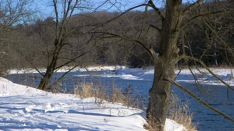 A River Flowing Through a Forest in Winter Stock Footage 115267917