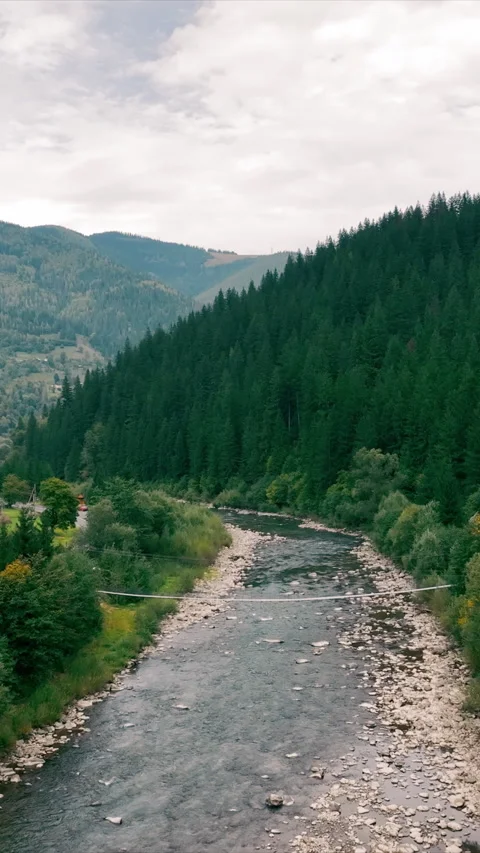 River Flowing Through Forested Valley with Mountain View. A peaceful river Stock Footage 310552571