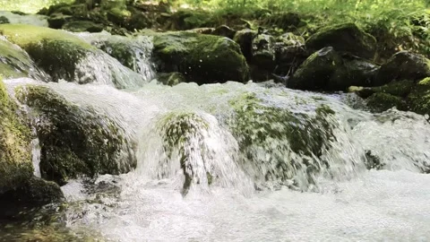 A river flowing through the forests Stock Footage 341121522