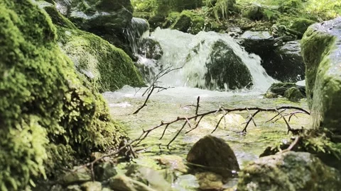 River flowing through the forests Stock Footage 341267423