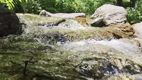 A river flowing through the forests Stock Footage 341324417