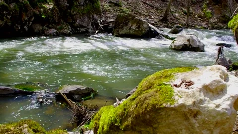 River flowing through the forrest, flowing over white rocks Stock-Footage 159791670