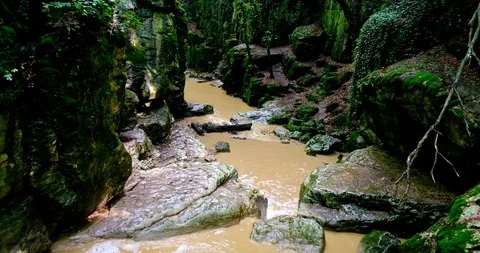 A river flowing through a gorge with walls covered in moss Stock Footage 124614803