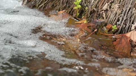 The River Flowing Through The Grass In Deceleration Stock Footage 320670716