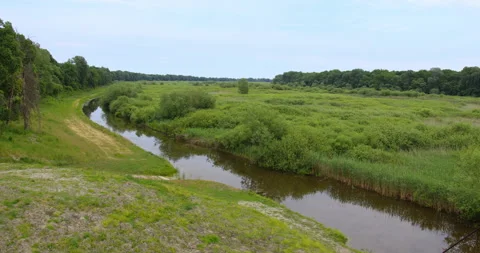 A river flowing through grassland bordered with woods under blue sky Stock Footage 262562128