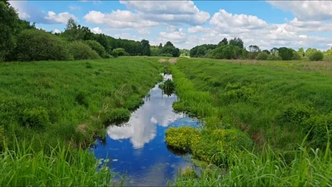 River Flowing Through Green Meadow. Loop. sounds of nature Stock Footage 336391621