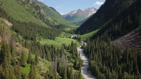 River flowing through green valley surrounded by mountains and forest 動画素材 312443454