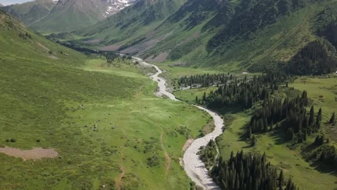 River flowing through green valley surrounded by mountains Video stock 312443993