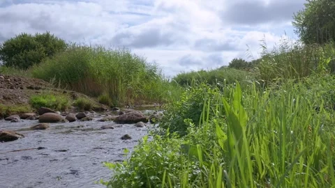 River flowing through green vegetation under cloudy sky Stock Footage 315340419