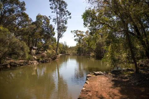 A river flowing through John Forrest National Park Stock Photos