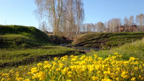 River Flowing Through Lush Green Hillside Stock Footage 275549922