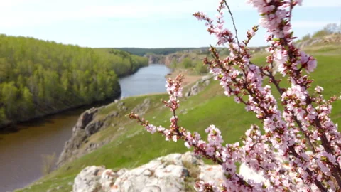 River Flowing Through Lush Green Countryside Stock Footage 275550105