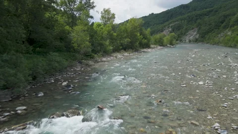 River Flowing Through Lush Green Forest in Summer Stockbeeldmateriaal 277469225