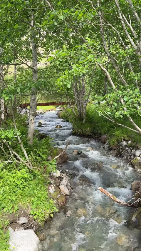 River flowing through lush green forest in Norway Stock Footage 315163204