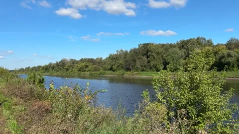 River flowing through a lush green Stock Footage 316545441