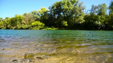 River flowing through a lush green forest on a sunny summer day Stock Footage 324854347