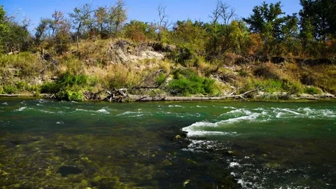 River flowing through a lush green forest on a sunny summer day Stock Footage 324854370