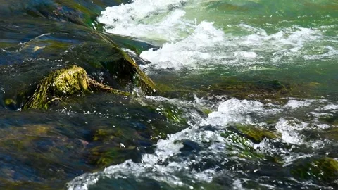 River flowing through a lush green forest on a sunny summer day Stock Footage 324854385
