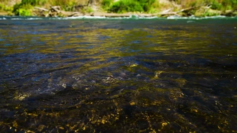 River flowing through a lush green forest on a sunny summer day Stock Footage 324854398