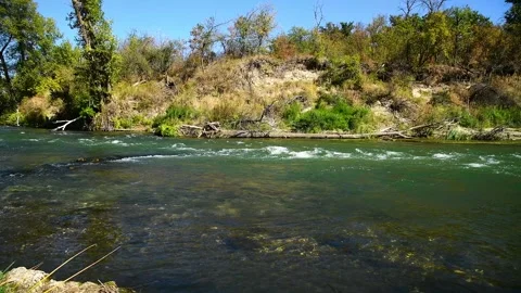 River flowing through a lush green forest on a sunny summer day 스톡 동영상 328831871