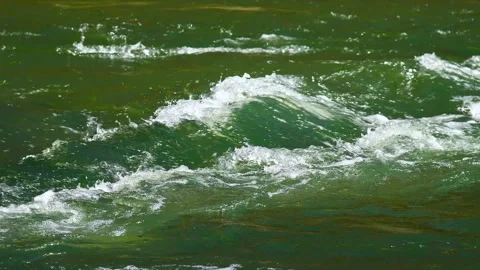 River flowing through a lush green forest on a sunny summer day Stock Footage 328831887