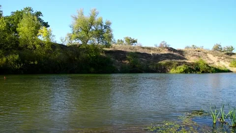 River flowing through a lush green forest on a sunny summer day Stock Footage 328832076
