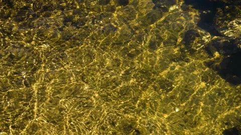 River flowing through a lush green forest on a sunny summer day Stockbeeldmateriaal 331206820