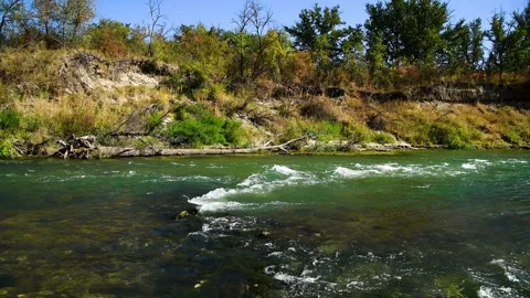 River flowing through a lush green forest on a sunny summer day Видео 331206835