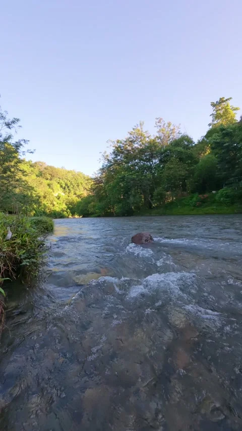 River Flowing Through Lush Green Landscape Stock Footage 332861146