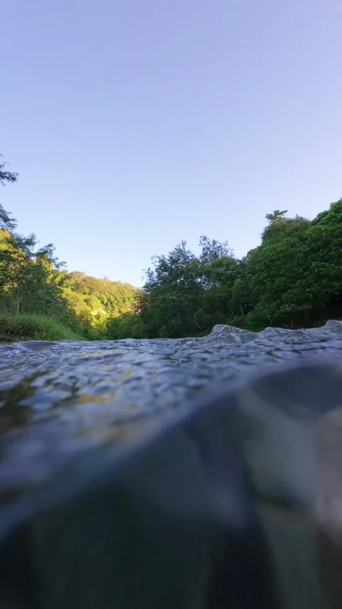 River Flowing Through Lush Green Forest Stock Footage 332861371